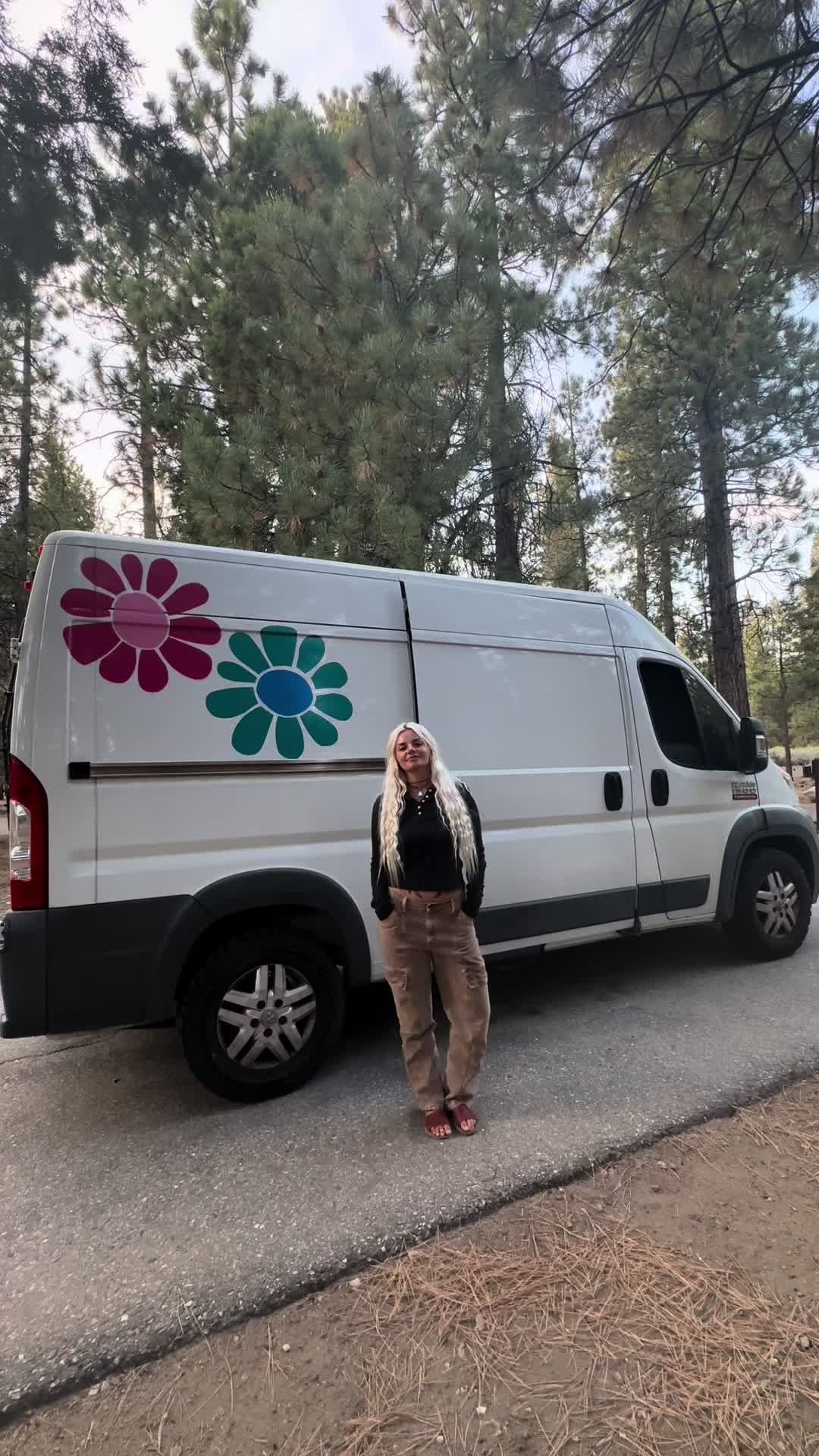@snackqueen666 — 3 things I couldn’t live without on the road #camping #stealthcamping #vanlife #musthave #solotravel 