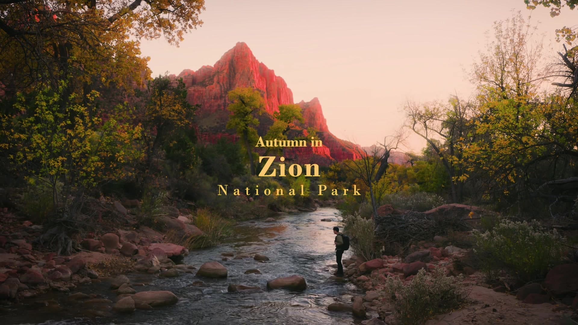 @bobbykhor — There is nothing like autumn in Zion.