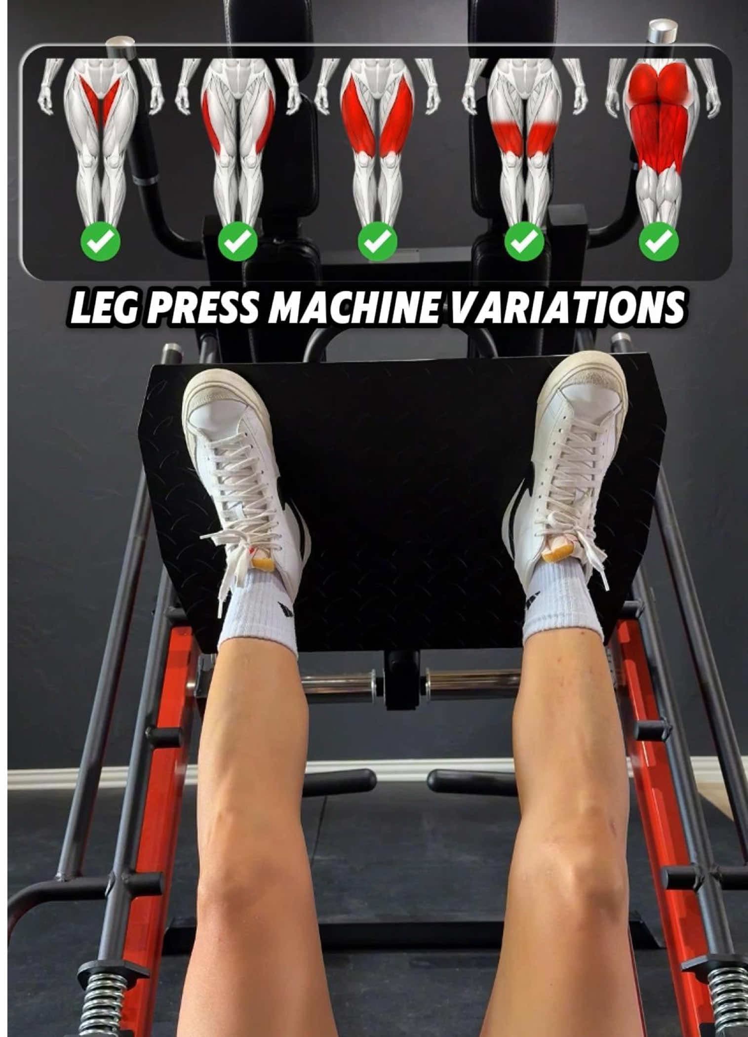 @arielyu.fit — Leg Press - Muscle Activation by Foot Position.