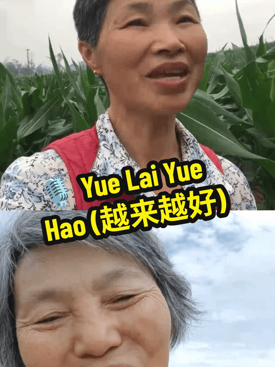 @nostalgicobrilhante — 🎵 MÚSICA: Yue Lai Yue Hao (越来越好)