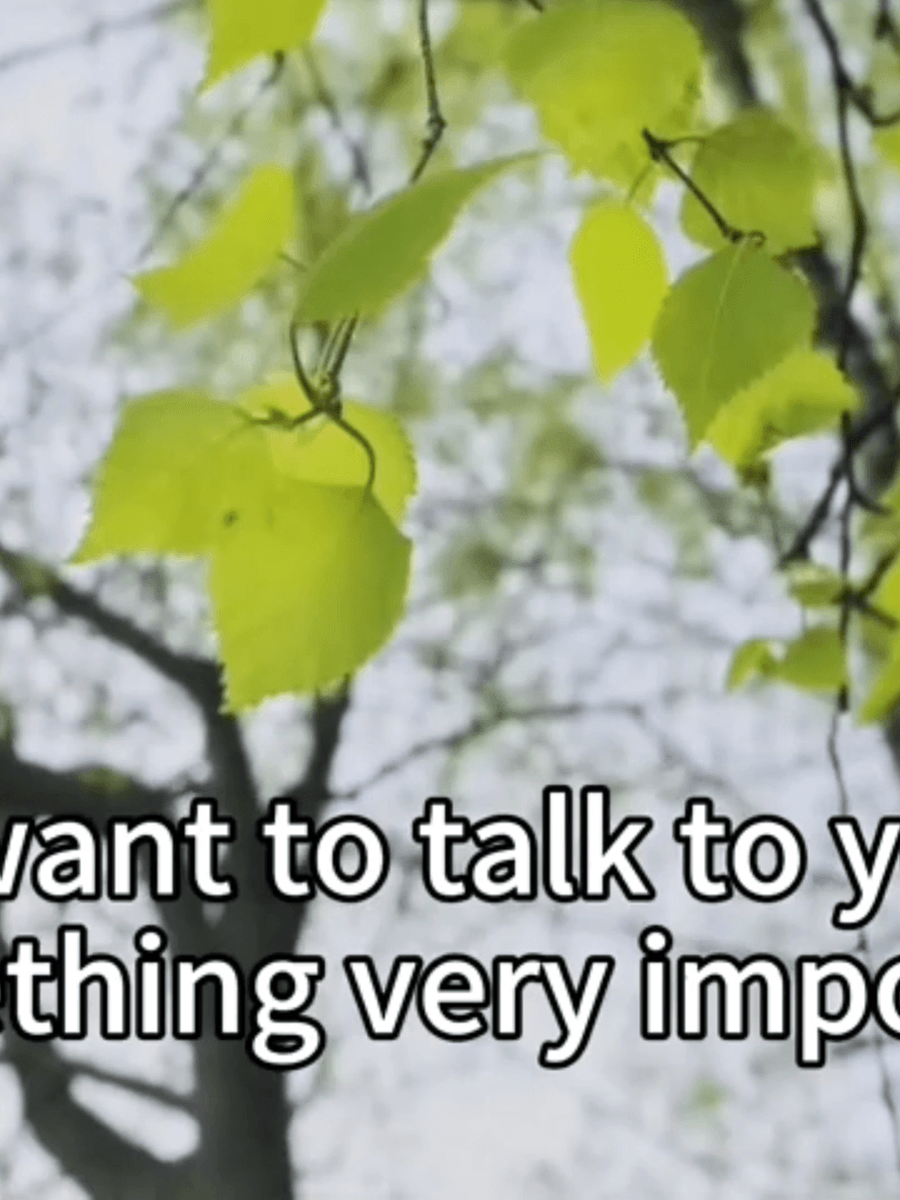 @ducit.vn — When should you start speaking English?