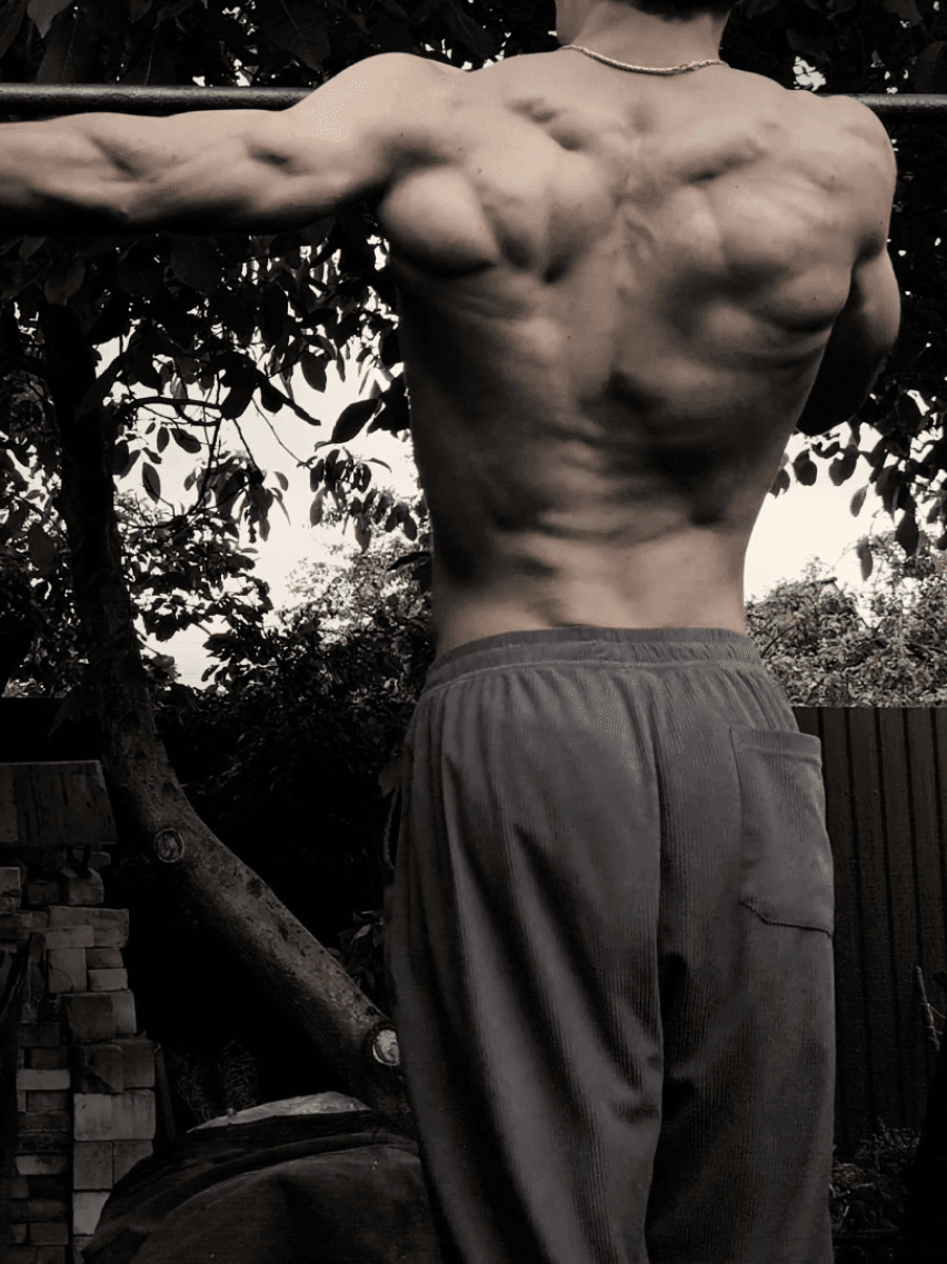 @rmaniuk — 8 years of pull-ups, calisthenics..