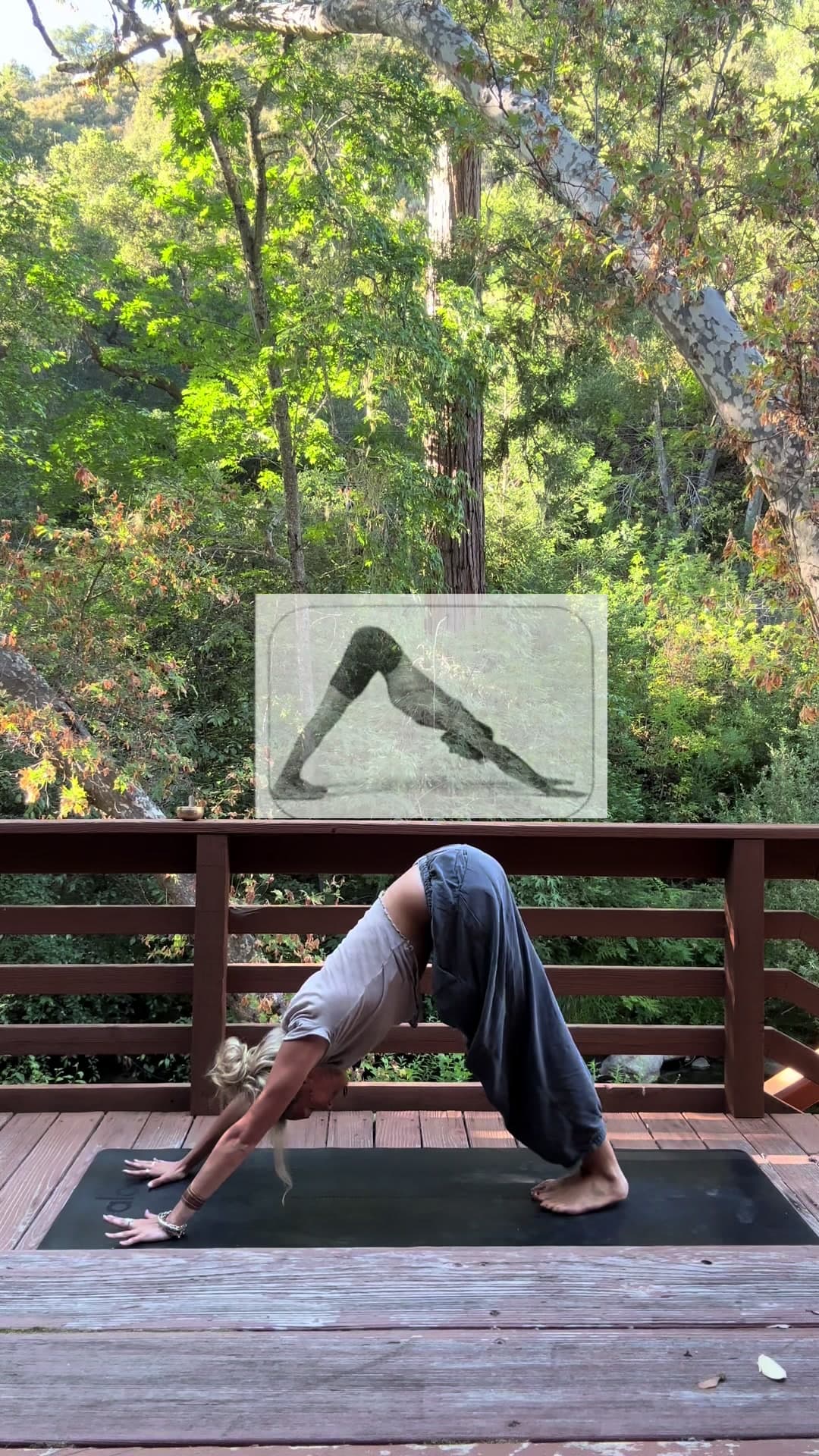 @guavayogaa — 🌿🌞✨Surya Namaskar B✨🌞🌿 for the vinyasa yogis and sun lovers #yoga #sunsalutationb #fyp #ytt