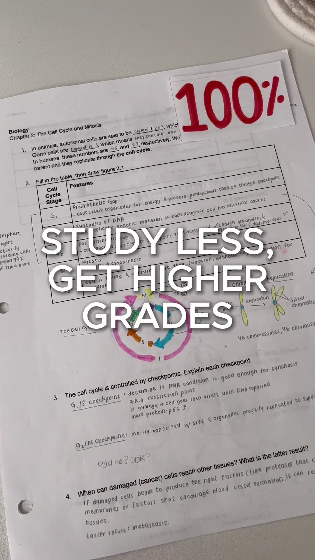 @studywithlizzz — sometimes studying longer doesnt always mean higher grades… 