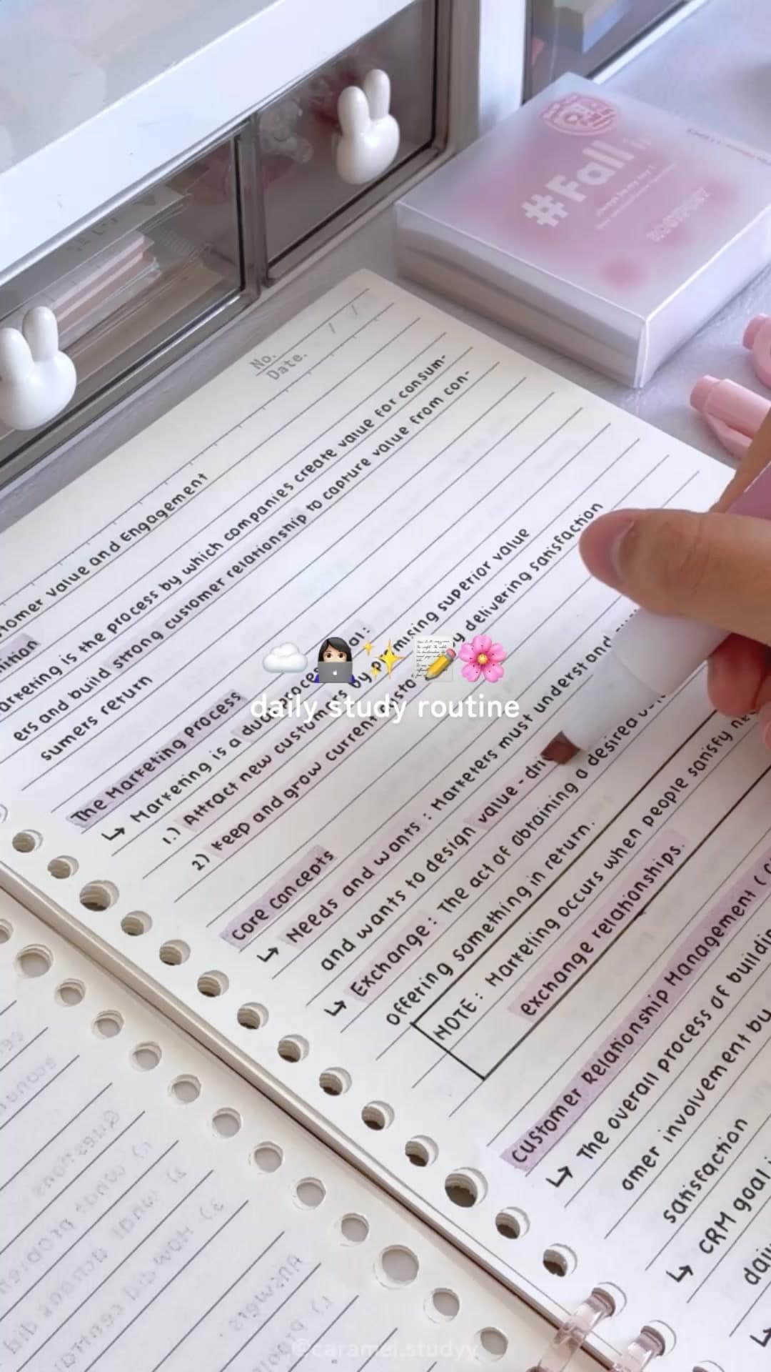 @caramel.studyy — my daily study routine with #fabric_so 📝💖