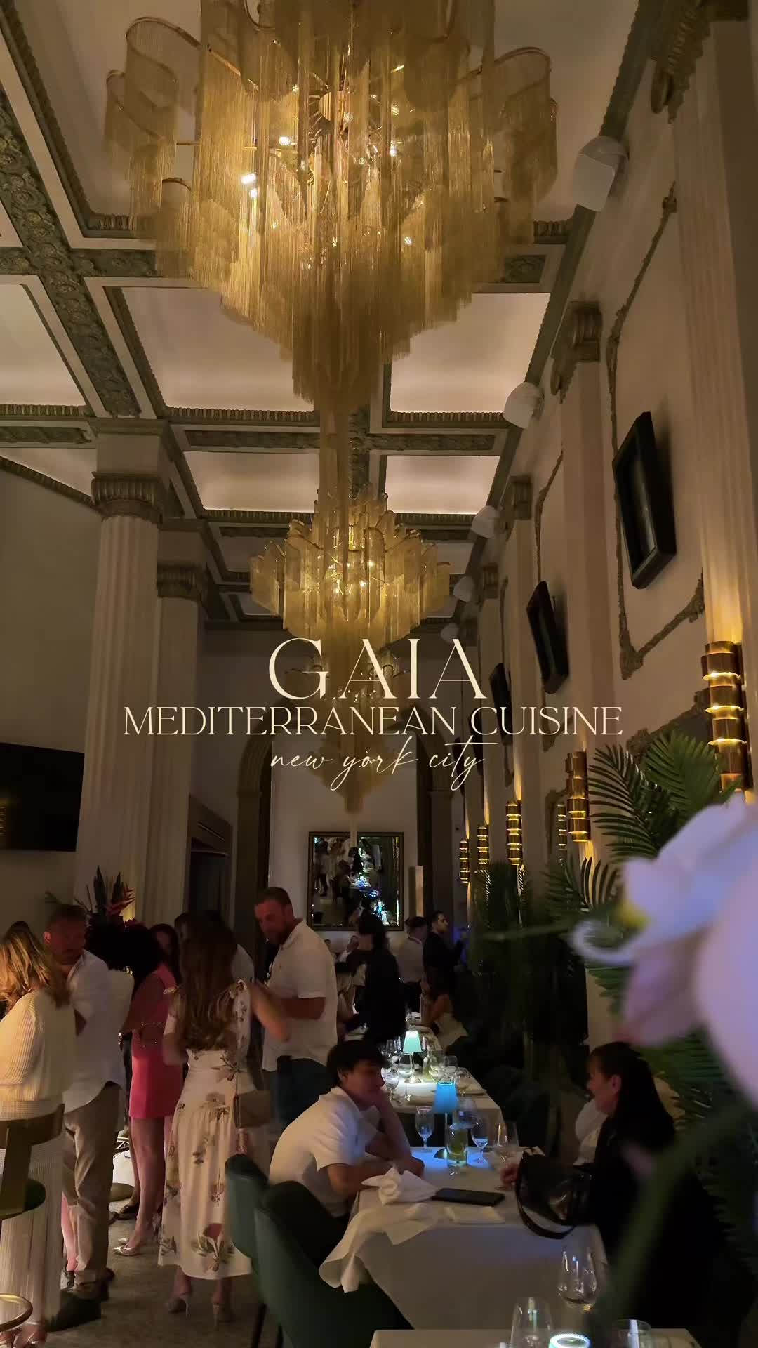 @reserve.nyc — 📍GAIA