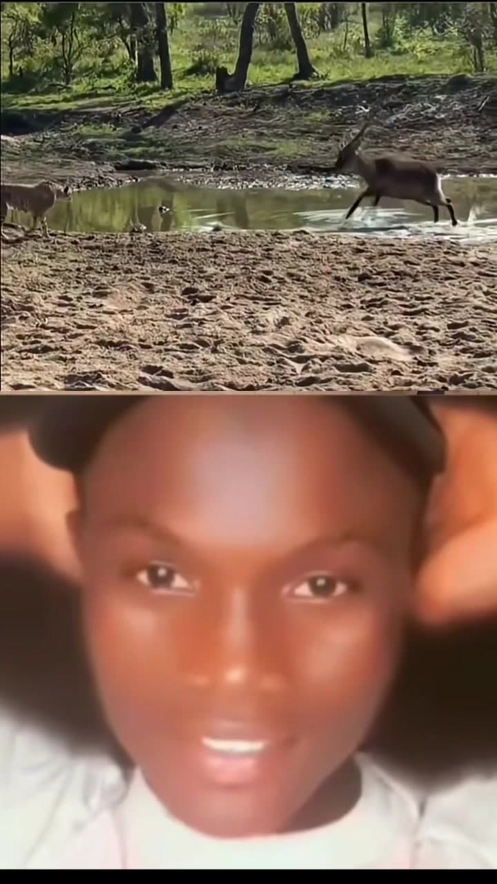 @real_yusuf_mustapha — 😭😂😂😂#fpyシ #😂😂😂 #goviral #comedy 