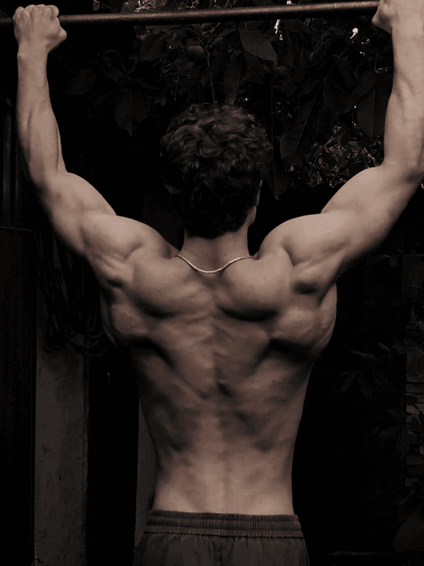 @rmaniuk — after 8 years of pull-ups, calisthenics..