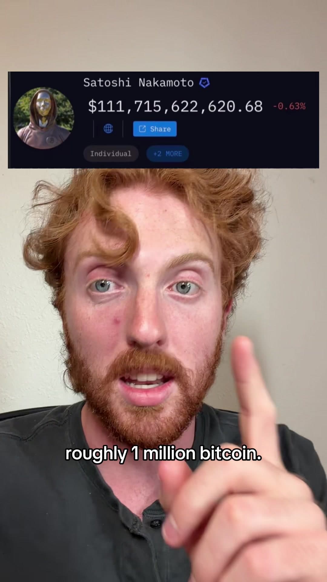 @cryptoginger1 — The moment you touch that wallet and use it would be insane 😅😬 #bitcoin #crypto #cryptocurrencies #btc #trading 