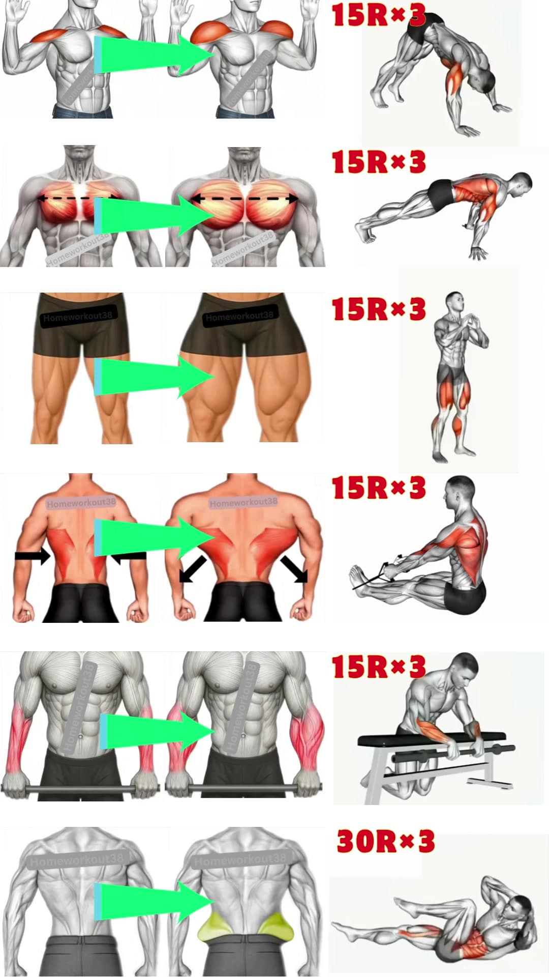 @homeworkout38 — 💥 Full Body Rush 🚀