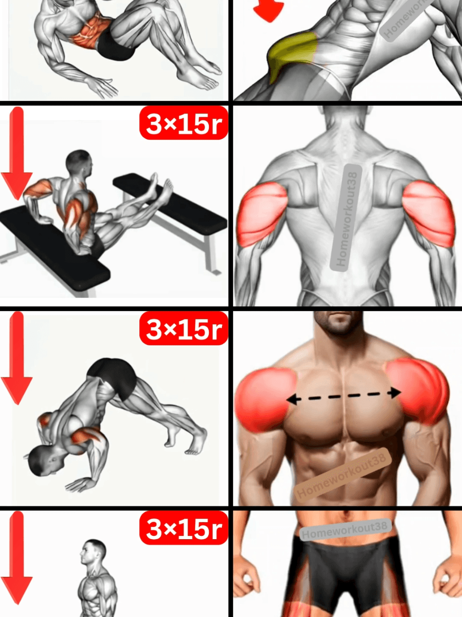 @homeworkout38 — 💥 Full Body Storm 🚀