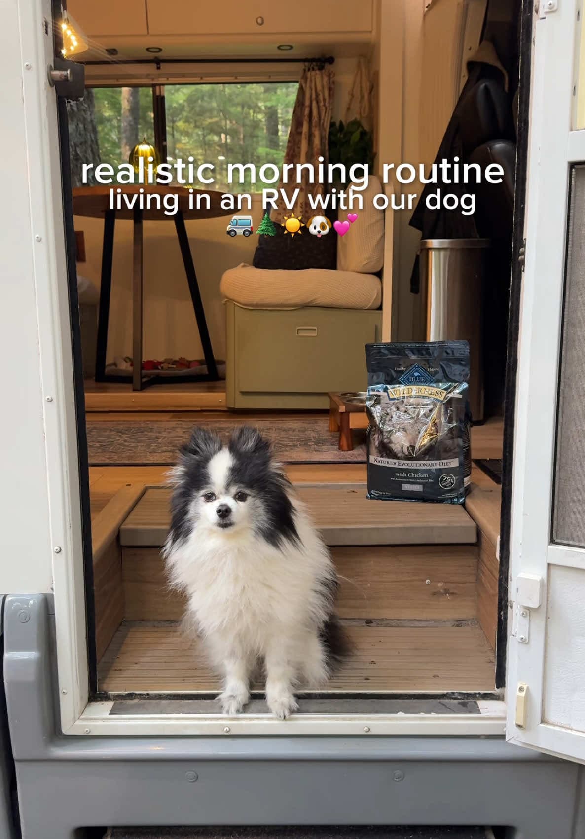 @madisonxtyler — #BlueBuffaloPartner a morning of RV life with Ollie 🚐🐾  We start every adventure by fueling him up with @Blue Buffalo Wilderness Chicken Recipe because it's packed with high quality protein and whol